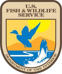 Read more about the article Native Students: U.S. Fish and Wildlife Service Directorate Fellows Program Deadline is Jan. 10th