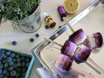 Read more about the article Blueberry Yogurt Pops with Lavender and Lemon Oil
